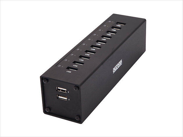 Dyconn 12-Port USB Power Hub