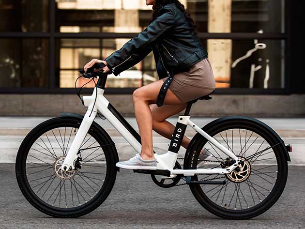 With 20MPH Speed & 50-Mile Range, This eBike is Perfect for Daily Commute and Leisurely Rides!