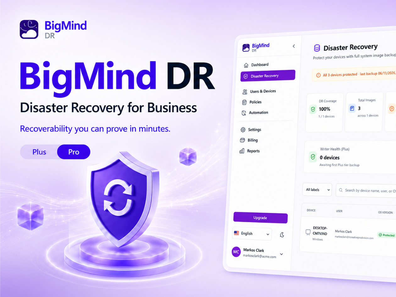 BigMind Data Recovery Pro Plan: Lifetime Subscription