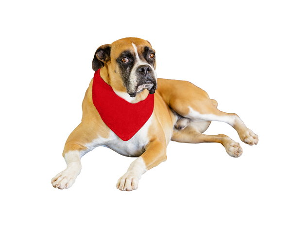 Jordefano Solid Polyester Dog Neckerchief Triangle Bibs - Extra Large - Red