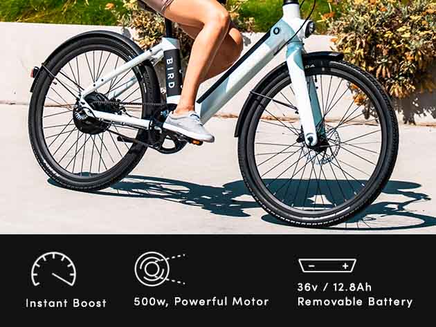 BirdBike eBike 