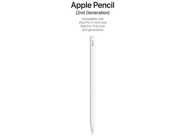 Apple Pencil (2nd Generation) Model A2051 (Open Box)