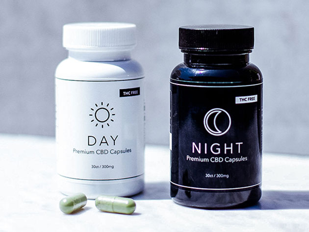 Джейн вест. Jane west. Jane west. Jane west. Кейзи анна актриса.