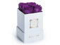 White Box/Purple Roses
