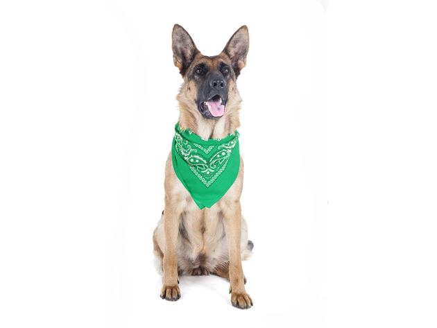 5 Pack Paisley Polyester Pets Dogs Bandana Triangle Shape  - Oversized - Green