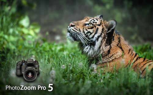 Resize Any Image With PhotoZoom Pro 5