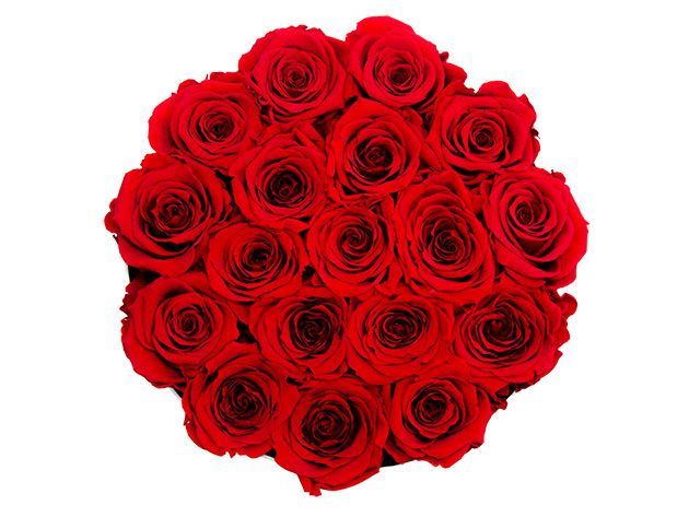 Rose Box™ Medium Velvet Gray Box & Everlasting Roses