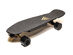 Faboard Gold V2 Dual Hub Electric Skateboard