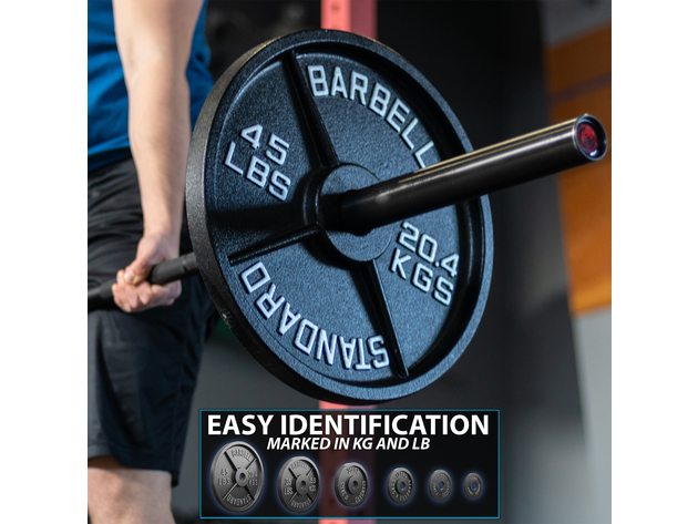 Synergee Standard Metal Weight Plates - Thirty Five Pound Plate - Pair