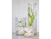 Afloral Clear Cylinder Glass Vase 5" x 5"