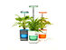  PICO Smart Indoor Herb Planter