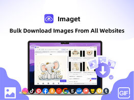 Imaget Bulk Image Downloader for Desktop Only: Lifetime Plan