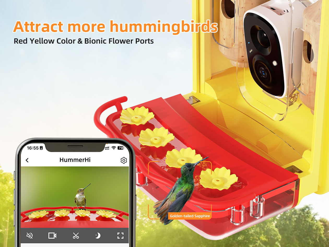 HummerHi Solar Powered Smart Hummingbird Feeder with Camera