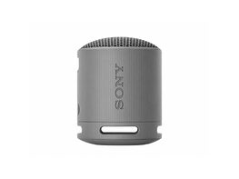 Sony SRS-XB100 Compact Bluetooth Wireless Speaker Gray (Refurbished)