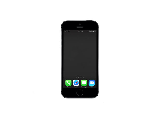 Apple iPhone 5s 16GB - Space Gray (Certified Refurbished: Wi-Fi + Unlocked)