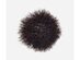 Smashbox Buildable Cheek Brush with Synthetic Fibers for Powder Bronzer & Blush