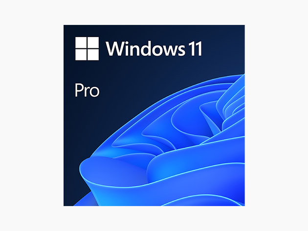 Microsoft Windows 11 Pro