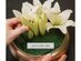 Oasis 48 Pack Standard Wet Floral Foam Brick Fresh Flower Wedding Florist Craft Advantage Plus