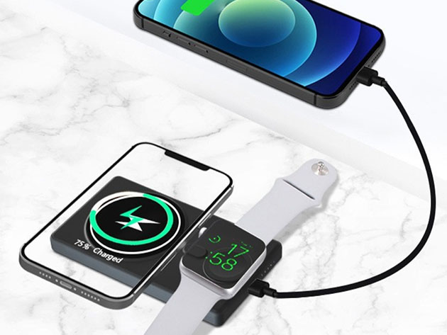 Multi-Device Wireless Charger