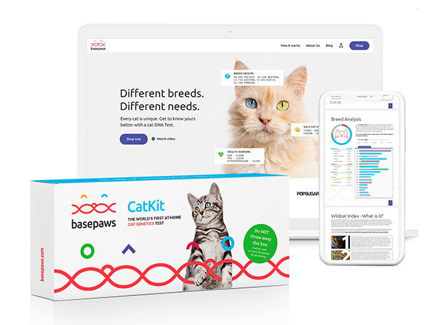 Basepaws Breed + Health DNA Test: At-Home Cat Genetics Test