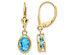 2.70 Carat (ctw) Blue Topaz Leverback Dangle Earrings in 14K Yellow Gold