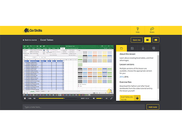 GoSkills Microsoft Office Bundle StackSocial