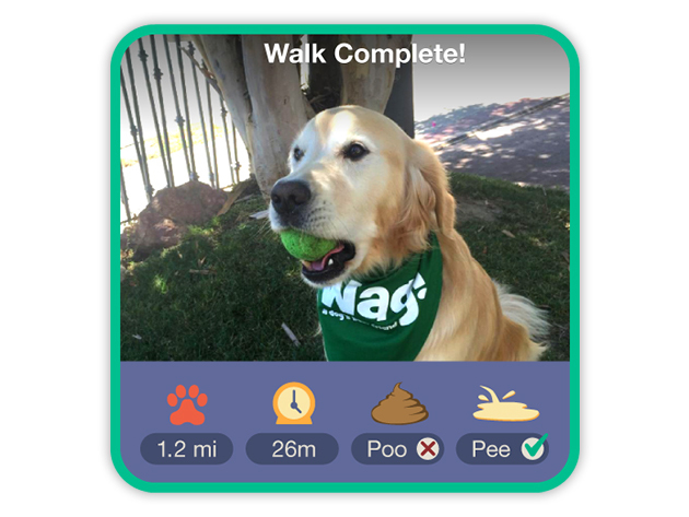 Wag! Dog Walking: 10 Dog Walks