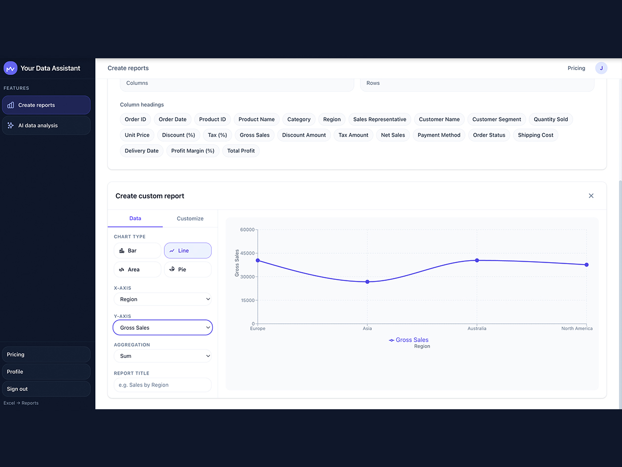 Your Data Assistant Lifetime Subscription (Pro Plan)
