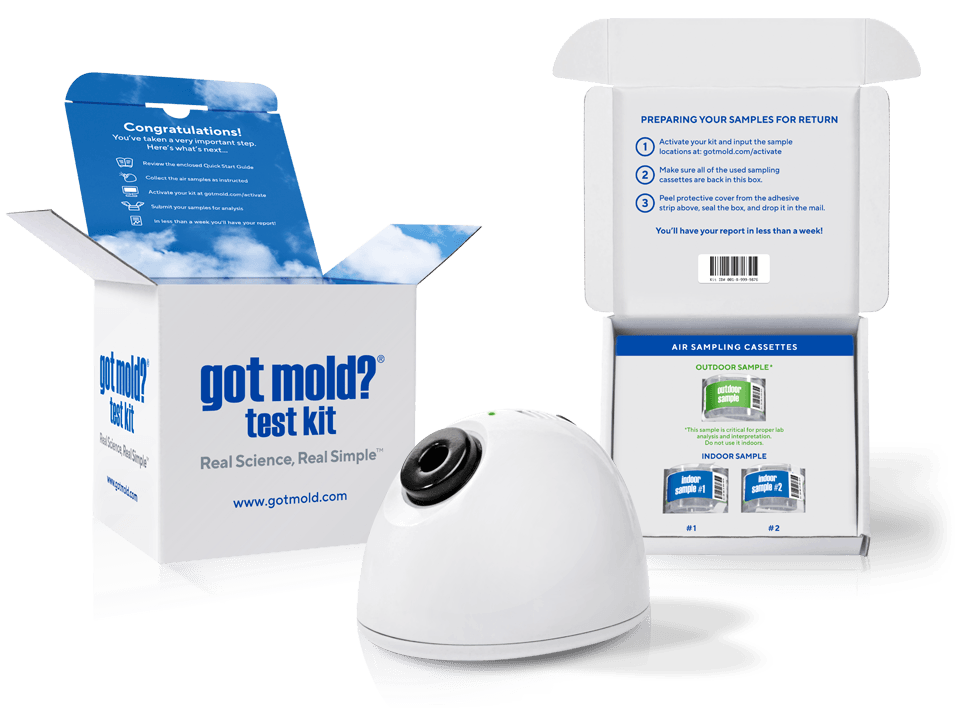 GOT MOLD? 2 Room Test Kit theChive University