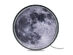 LampDepot Moon Wall Art Print Lunar Lamp (13.8"/35cm)