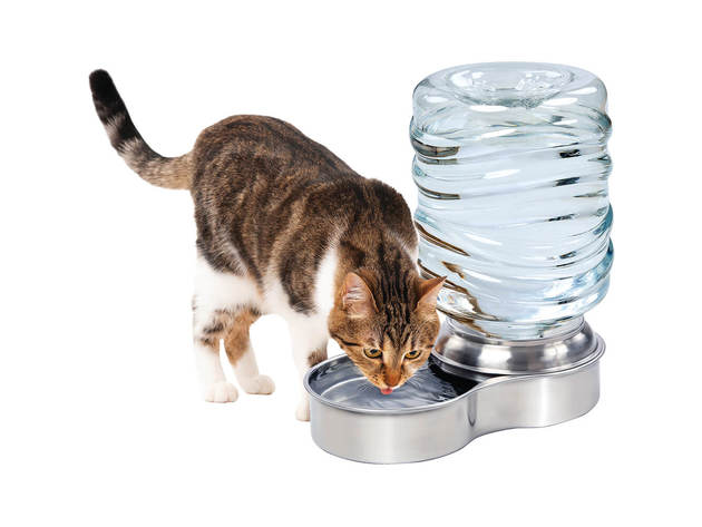 Pet Store 5027 96 oz Stainless Steel Gravity Refill Dog & Cat Waterer
