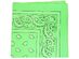 Mechaly Paisley 100% Cotton Bandanas - 6 Pack - Neon Green