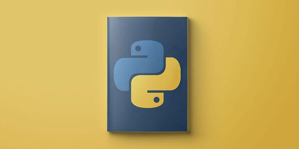 Python Web Programming - Product Image
