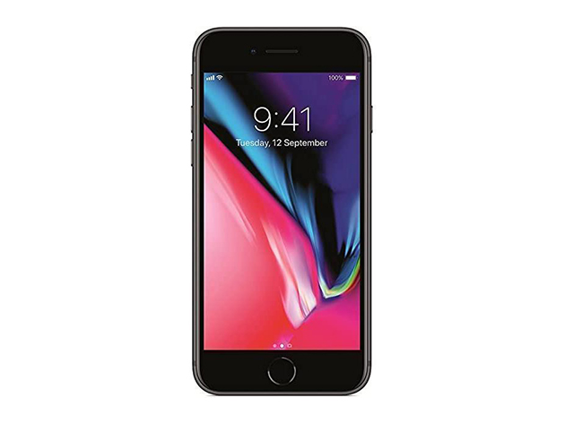 Apple iPhone 8 Plus (A1864) 256GB  - Space Gray (Grade A+ Refurbished: Wi-Fi + Unlocked)