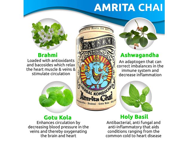 12-PACK Tealixir Herbal Kombucha Tea Amrita Chai with Ashwagandha, Brahmi and Gotu Kola, 12 Ounces Each (144 Ounces)