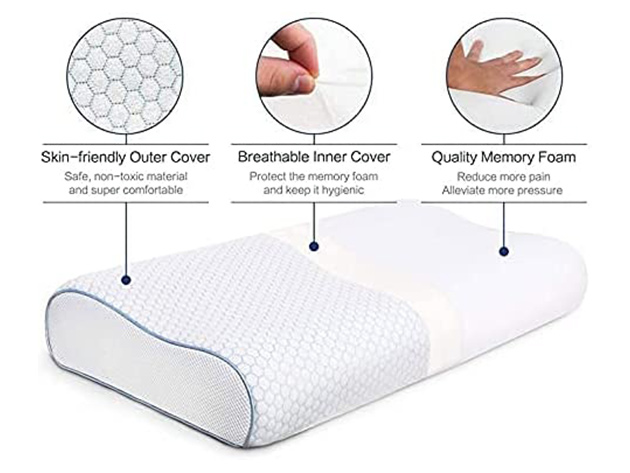  Dr. Pillow Memory Foam Sepoveda Pillow