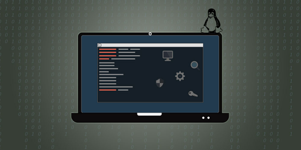 The Complete Ethical Hacking Course: Beginner to Advanced 2.0