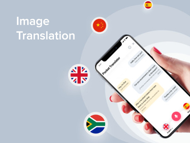 LingvaNex Translator: Lifetime Subscription (Desktop and Mobile Bundle)