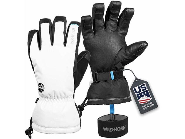Wildhorn Tolcat Unisex 100% Polyester Waterproof Leather Ski Glovesle, 7 - Lunar (Like New, Open Retail Box)