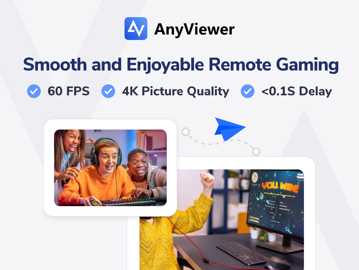 AnyViewer Professional Plan: 5-Year Subscription