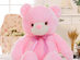 LED Teddy Bear (Pink)