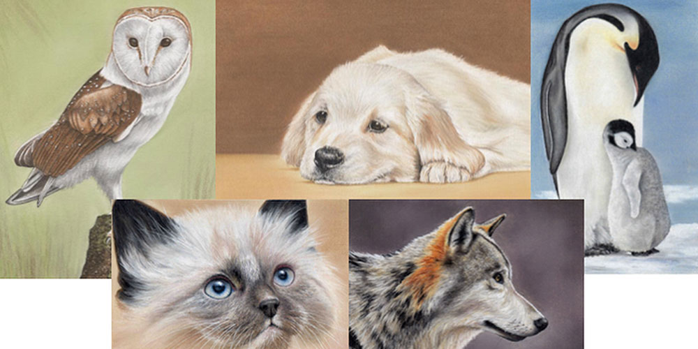 Drawing Animals Using Pastel Pencils