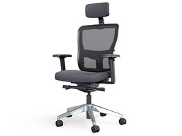 Yaasa Ergonomic Office Chair