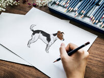 Draw a Jack Russell Using Pastel Pencils - Product Image