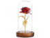 Everlasting Flower Glass Cover Decoration