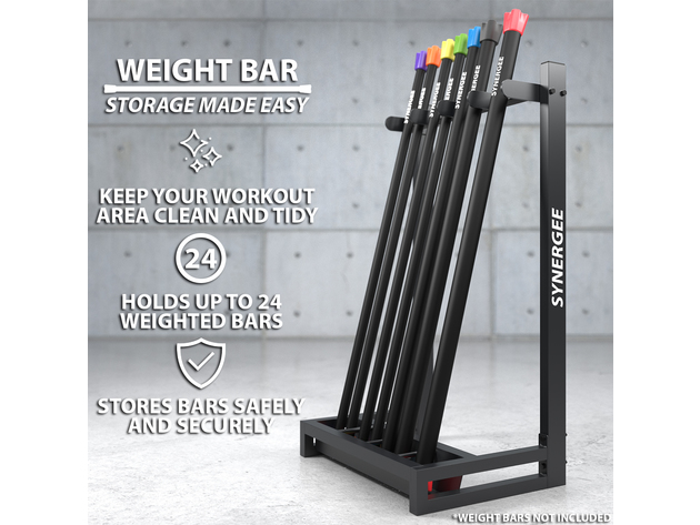 Synergee weighted best sale workout bars