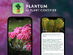 Plantum - AI Plant Identifier Premium Plan: Lifetime Subscription (For iOS Only)