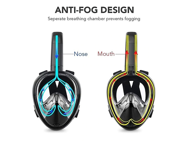 Full Face Snorkel Mask 