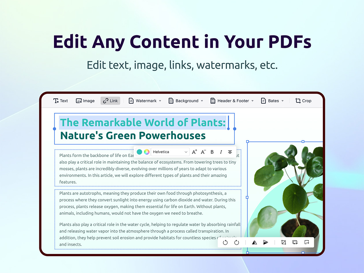 PDF Reader Pro Permanent License: Lifetime Subscription (Windows)