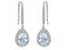 Pear Cut Drop Earrings Paved with Swarovski Crystals
